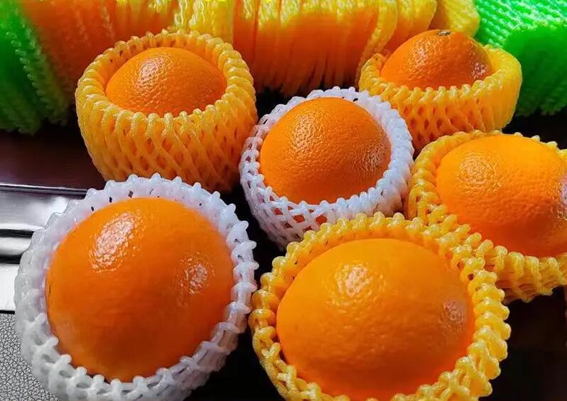 泡沫箱廠家案例-果蔬儲存運(yùn)輸