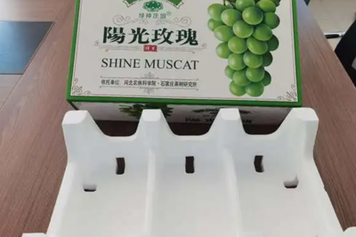 葡萄泡沫包裝