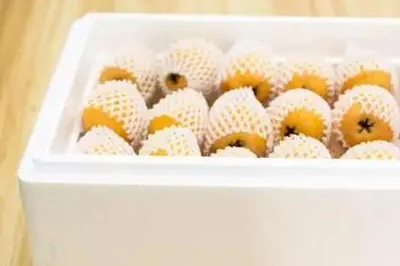 枇杷泡沫包裝